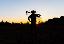 Silhouette of a farmer holding a hoe against a sunset