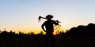 Silhouette of a farmer holding a hoe against a sunset