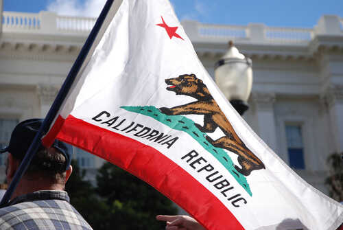 shutterstock_642199048.jpg California state flag being held up at an outdoor event