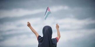 A young person holding a flag against a cloudy sky