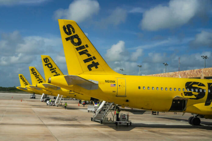 Yellow Spirit Airlines planes parked at the airport.