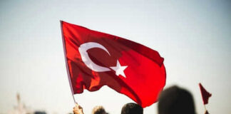 Person waving Turkish flag in a crowd