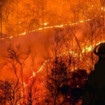 Balloon Ignites Georgia’s Worst Wildfire Firefighters observing intense forest wildfire at night