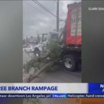 U-Haul WRECKS 12 Cars – LAPD: Driver Was ‘Unaware’ U-Haul driver damages cars with tree branch in North Hollywood