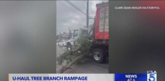 U-Haul driver damages cars with tree branch in North Hollywood