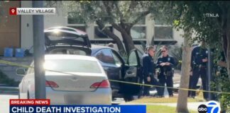 LAPD investigating death of 4-year-old possibly left inside vehicle