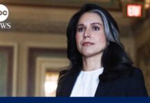 Gabbard’s Departure Sparks Intelligence Leadership Crisis Tulsi Gabbard resigns as Director of National Intelligence