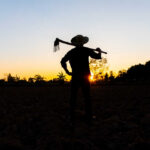 California’s $49M Farmworker Solar Program Draws Scrutiny Silhouette of a farmer holding a hoe against a sunset