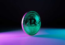 Speculative Shock: NH Torpedoes Bitcoin Bond Green Bitcoin coin on purple and blue background