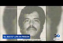 El Mayo, infamous Mexican drug lord, sentenced to life in prison