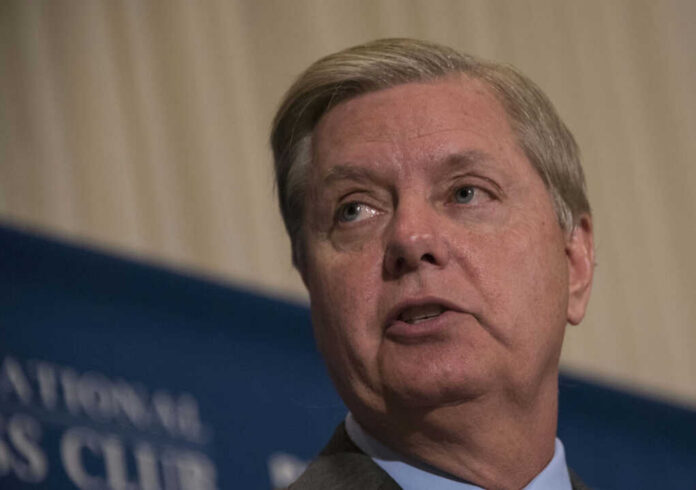 lindsey-graham315606860jpg I dont know who this is in the image