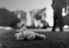 Stuffed toy lying on pavement in black and white