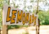 Kids Crush It—Media Botches The Count Lemonade stand sign with bold yellow letters outdoors