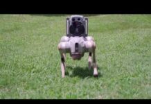 Robot dogs are replacing security guards in Atlanta