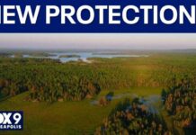 Minnesota mining efforts dealt a blow after Tim Walz signs executive order banning permits