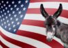 Donkey in front of an American flag