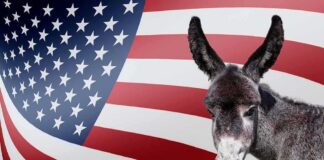 Donkey in front of an American flag