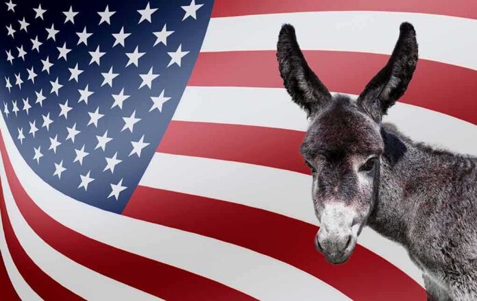 shutterstock_1771818386 Donkey in front of an American flag