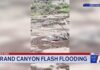 Grand Canyon flooding: Over a dozen possibly missing, water pipeline knocked out