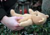 Dead Kids, Missed Warnings – $400M Bombshell Hands holding a teddy bear near a grave