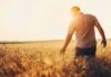 Survival Mode Hits Heartland – USDA Cash Won’t Stop The Bleed Man walking through a golden wheat field at sunset