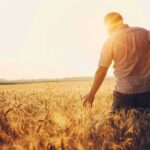 Survival Mode Hits Heartland – USDA Cash Won’t Stop The Bleed Man walking through a golden wheat field at sunset