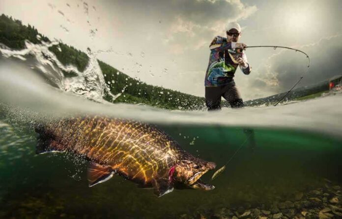 shutterstock_485160259 angler fighting a large fish in a split-level water shot